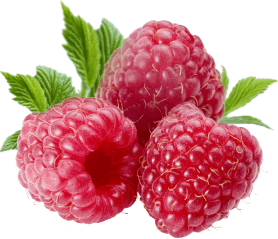 strawberry image shown