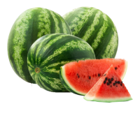 watermelon